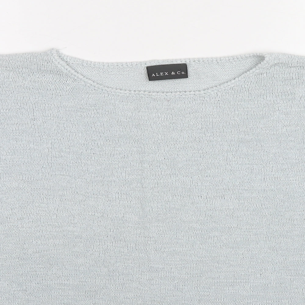 Alex&Co. Womens Blue Round Neck Nylon Pullover Jumper Size 18