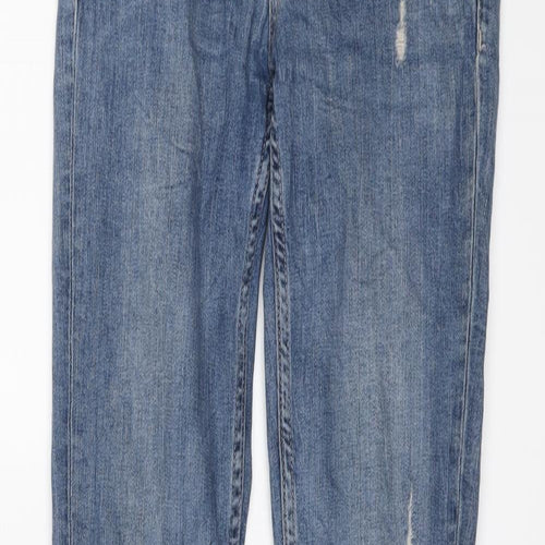 H&M Womens Blue Cotton Skinny Jeans Size 26 in L30 in Regular Button