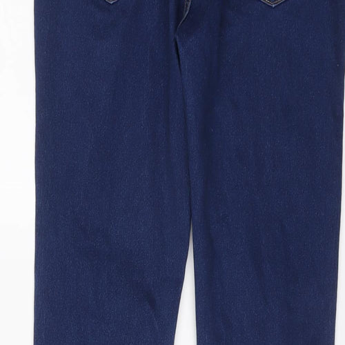 Roadster Womens Blue Cotton Skinny Jeans Size 28 in L29 in Regular Button