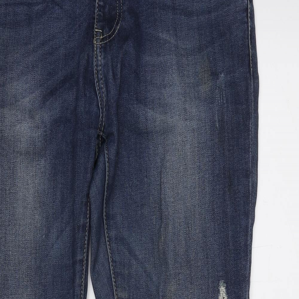 Lexxury Womens Blue Cotton Skinny Jeans Size 14 L28 in Regular Zip