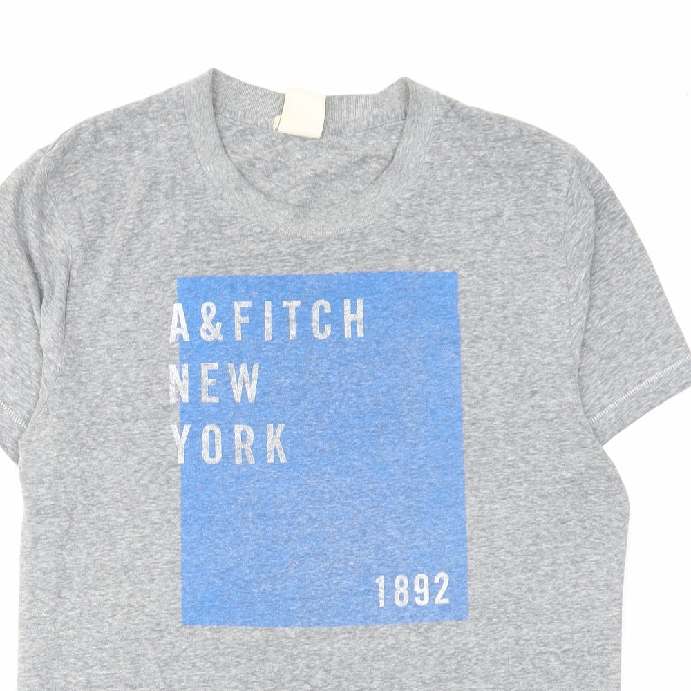 Abercrombie & Fitch Mens Grey Cotton T-Shirt Size M Round Neck