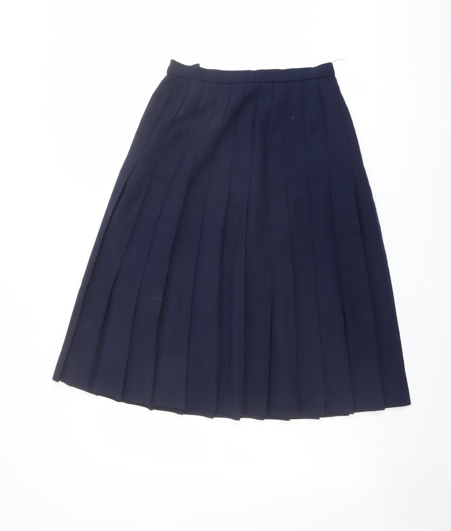 Reldan Womens Blue Wool Pleated Skirt Size 12 Zip