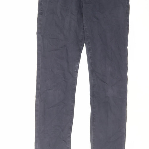 Adrianna Goldschmied Mens Blue Cotton Skinny Jeans Size 30 in L32 in Regular Zip