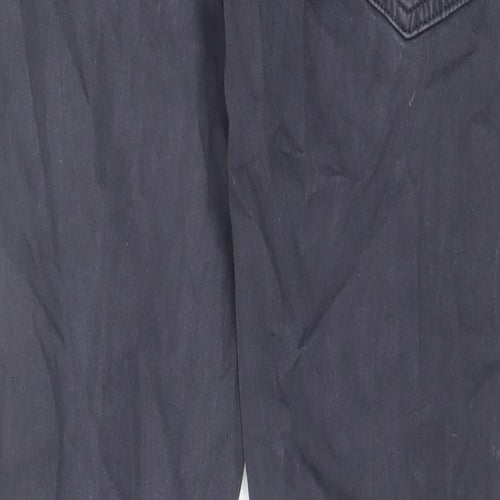 Adrianna Goldschmied Mens Blue Cotton Skinny Jeans Size 30 in L32 in Regular Zip