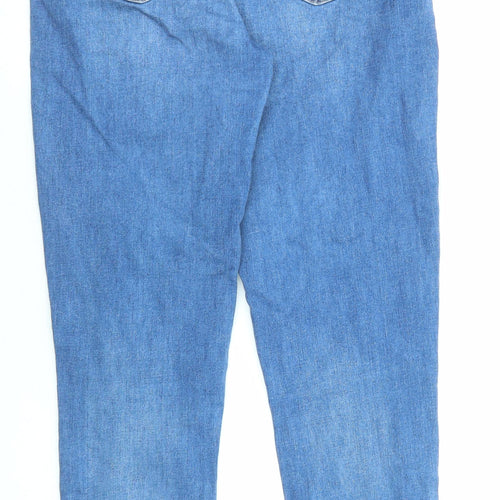 American Eagle Outfitters Womens Blue Cotton Skinny Jeans Size 14 L30 in Regular Zip