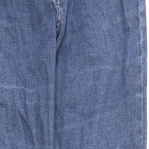H&M Womens Blue Cotton Skinny Jeans Size 27 in L27 in Regular Zip