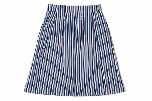 Front view of Sweewë women’s multicoloured striped polyester a-line skirt, size L, zip