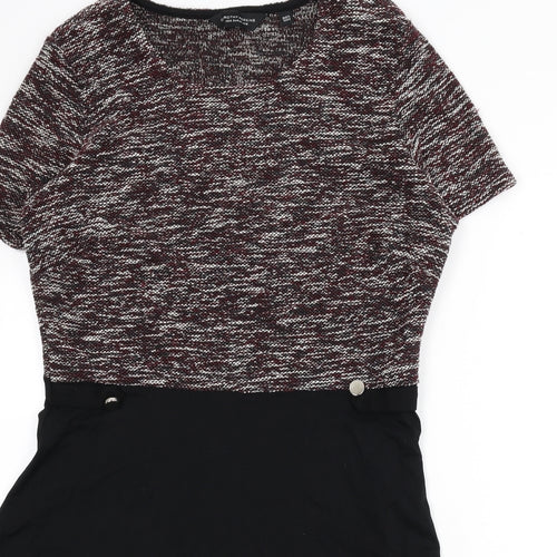 Dorothy Perkins Womens Multicoloured Cotton A-Line Size 16 Round Neck Pullover