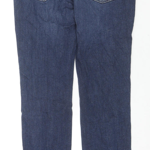Dream Jeans Womens Blue Cotton Skinny Jeans Size 28 in L26 in Regular Zip