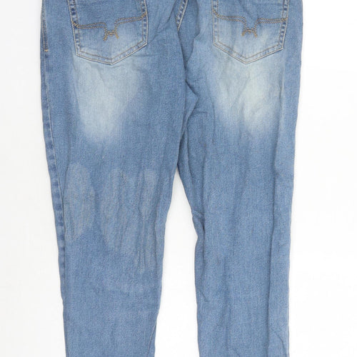 The Roadster Life Mens Blue Cotton Skinny Jeans Size 32 in L25 in Regular Zip