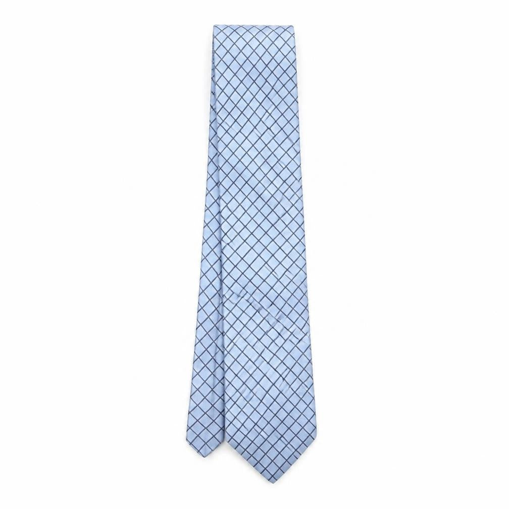 Front view of Profump men’s blue plaids & checks silk pointed tie one size