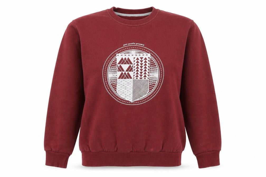 Front view of Insert Coin women’s red cotton pullover sweatshirt, size S, pullover - unisex