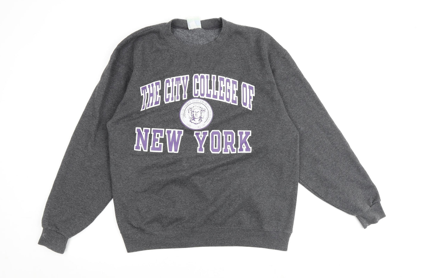 Champion Mens Grey Cotton Pullover Sweatshirt Size L
