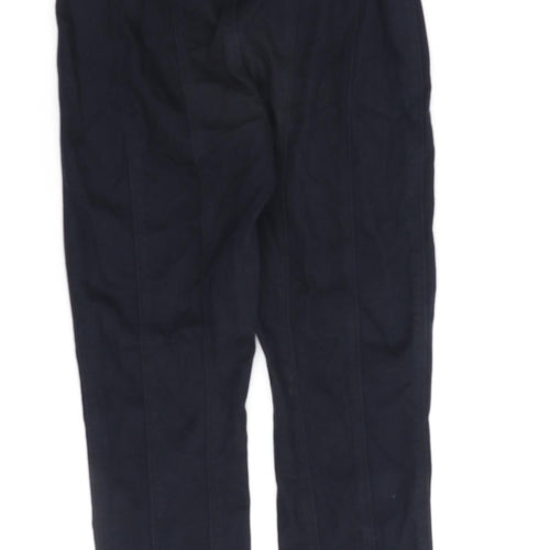 J. Brand Womens Blue Cotton Jegging Jeans Size 28 in L27 in Regular