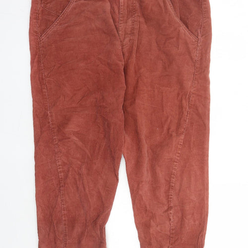 River Island Mens Brown Cotton Carrot Trousers Size 36 in L26 in Regular Zip - Short Leg