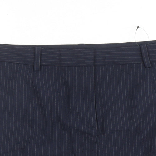 Marks and Spencer Womens Blue Striped Polyester A-Line Skirt Size 16 Zip