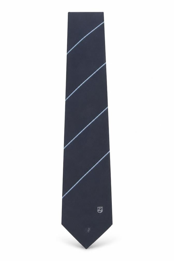 Front view of Peter K men’s blue striped polyester pointed tie one size - phillips logo