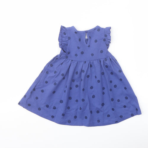 Marks and Spencer Girls Blue Polka Dot Cotton A-Line Size 3-6 Months Crew Neck Button