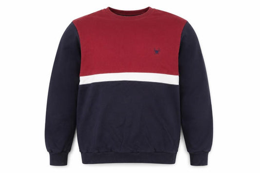 Front view of Intense men’s blue cotton pullover sweatshirt, size L