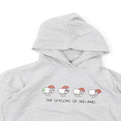 Random Boys Grey Polyester Pullover Hoodie Size 14-15 Years Pullover