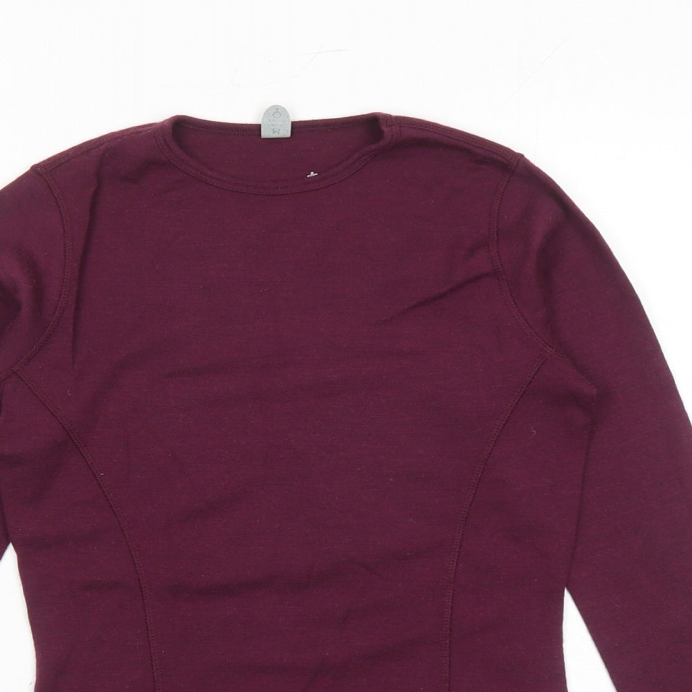 SmartWool Womens Purple Round Neck Wool Pullover Jumper Size M