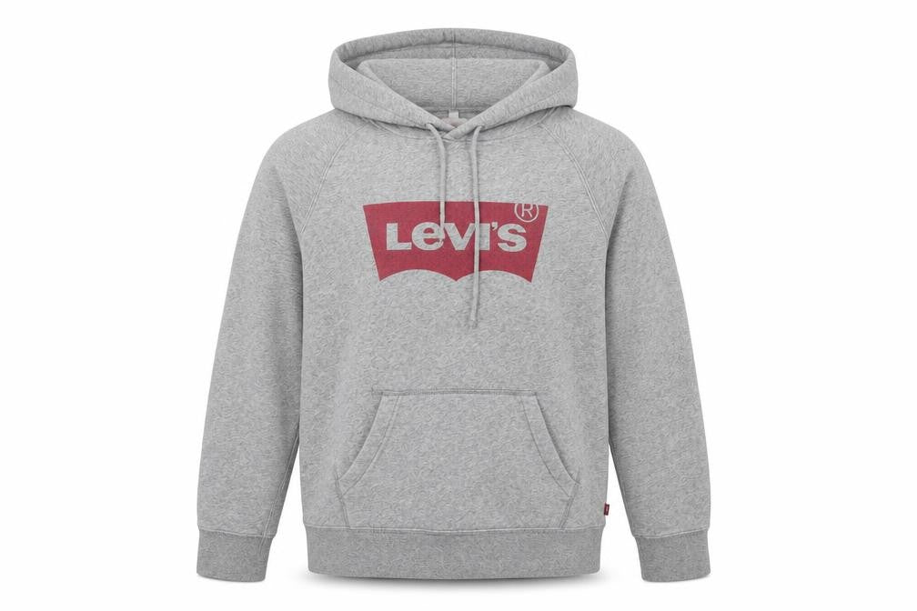 Front view of Levi's men’s grey cotton pullover hoodie, size XS
