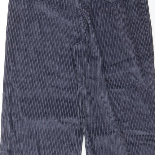 Amuse Womens Blue Cotton Trousers Size 26 in L26 in Regular Zip - Pockets