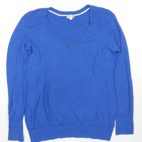 Gap Mens Blue V-Neck Cotton Pullover Jumper Size M Long Sleeve