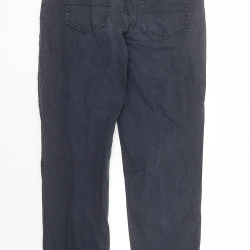 Armando Mens Blue Cotton Straight Jeans Size 30 in L28 in Regular Button