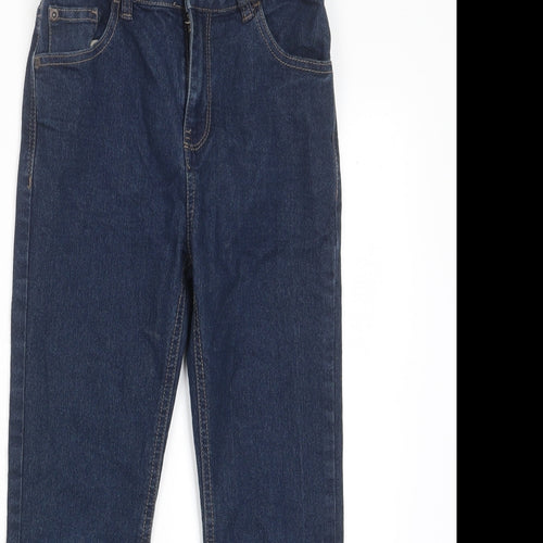 F&F Boys Blue Cotton Straight Jeans Size 9 Years Regular Zip - Pockets, Adjustable waist