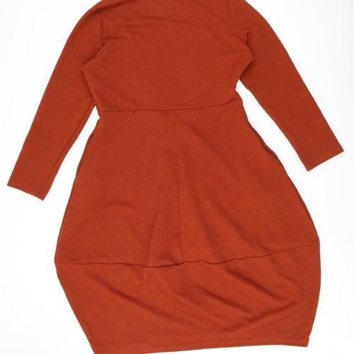 Audate Womens Brown Polyester Shift Size XL Round Neck Pullover