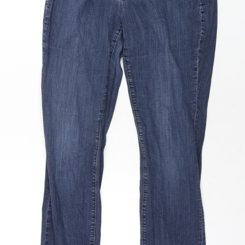Ann Taylor Womens Blue Cotton Skinny Jeans Size 10 L31 in Regular Zip