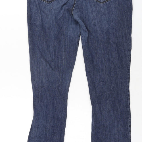 Ann Taylor Womens Blue Cotton Skinny Jeans Size 10 L31 in Regular Zip