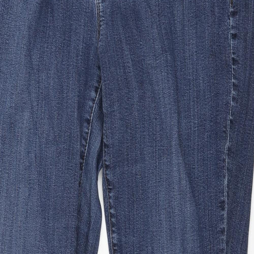 Ann Taylor Womens Blue Cotton Skinny Jeans Size 10 L31 in Regular Zip