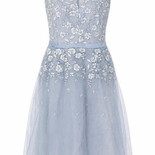 Chi Chi London Women's Blue Floral Embroidered Dress