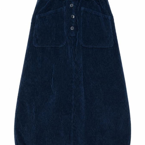 Potery Womens Blue Cotton A-Line Skirt Size 26 in Button