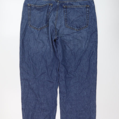 Jigsaw Womens Blue Cotton Mom Jeans Size 30 in L27 in Regular Button