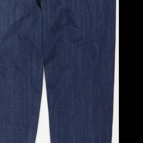 Madewell Womens Blue Cotton Skinny Jeans Size 28 in L28 in Regular Zip