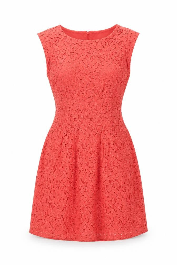 Apricot Womens Orange Cotton A-Line Size 10 Round Neck Zip