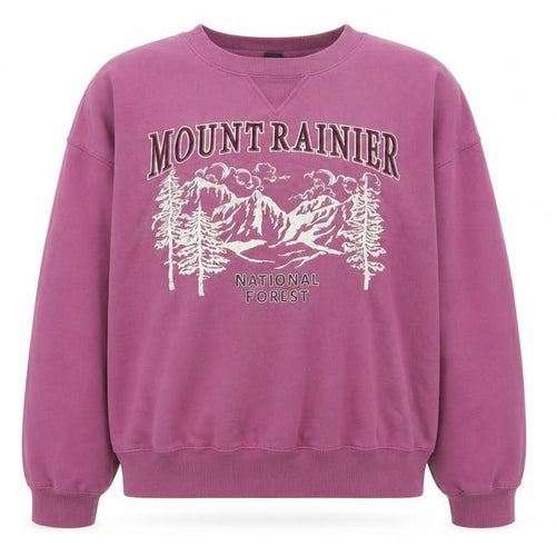 Divided by H&M Womens Purple Cotton Pullover Sweatshirt Size L Pullover - Mount Rainier National Forest