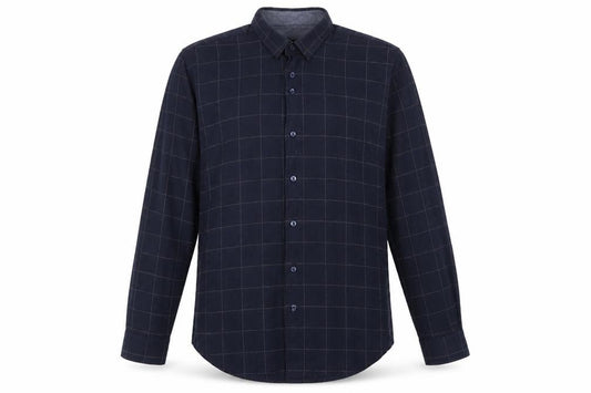 Front view of Zara men’s blue check cotton button-up, size L, collared button