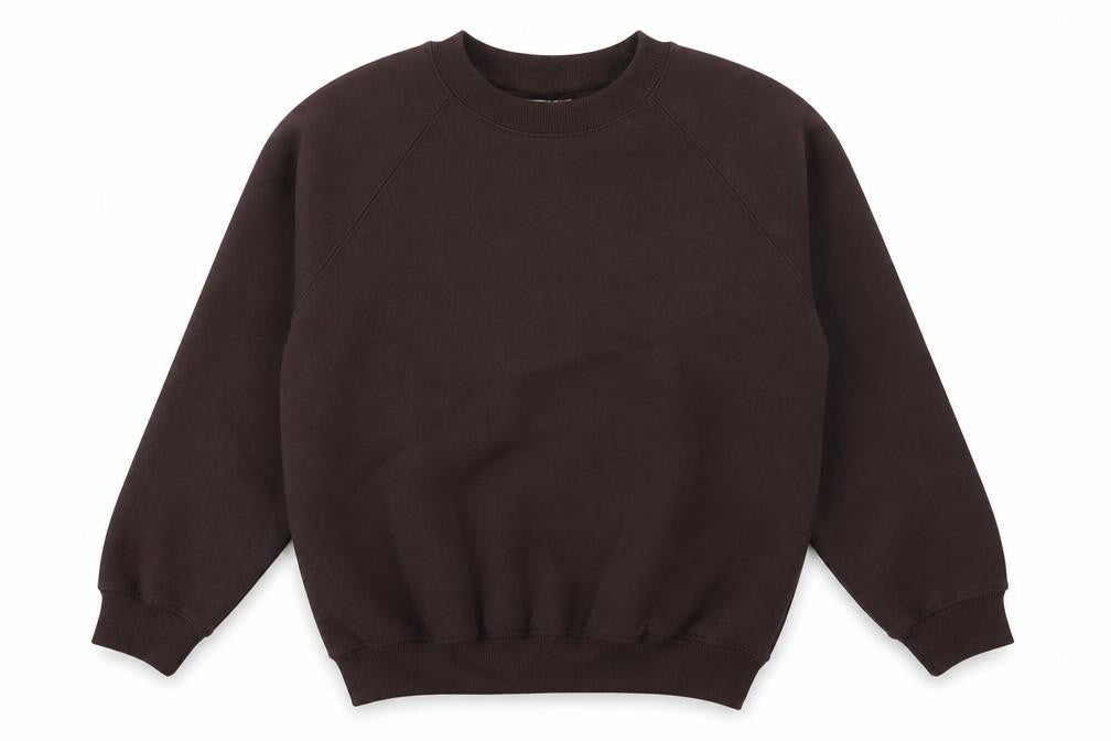 Front view of Sportex boys’ brown cotton pullover sweatshirt, size 9-10, years pullover