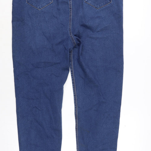 Alexa Womens Blue Cotton Blend Skinny Jeans Size 32 in L25.5 in Regular Zip