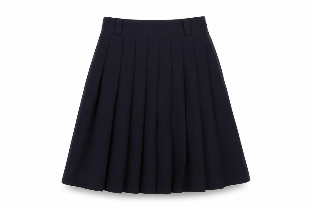 Front view of Mone women’s blue polyester pleated skirt, size S, zip