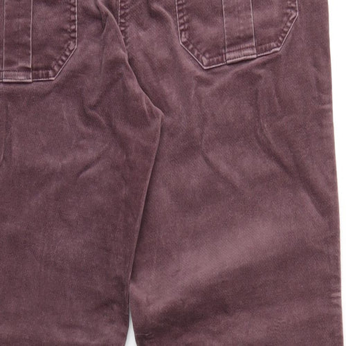 Maine Womens Purple Cotton Trousers Size 12 L30 in Regular Zip