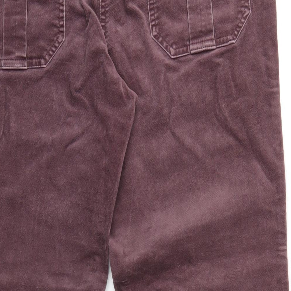 Maine Womens Purple Cotton Trousers Size 12 L30 in Regular Zip