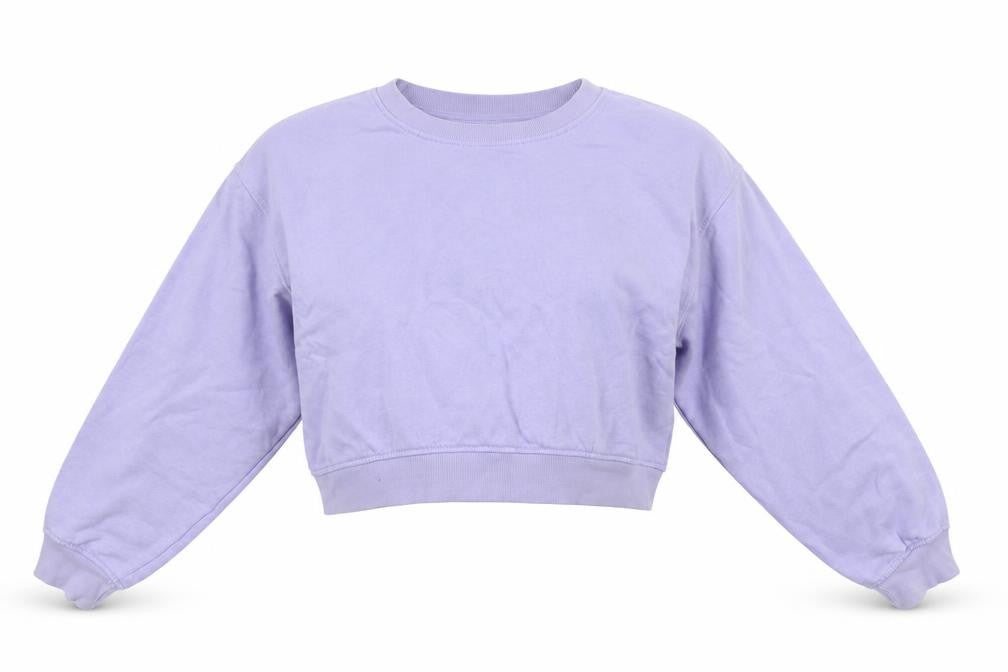 Front view of Zara women’s purple cotton pullover sweatshirt, size L