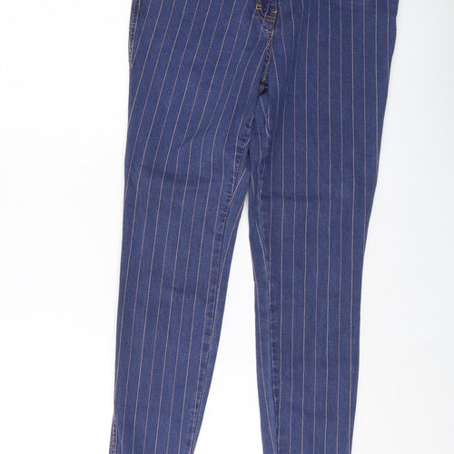 Tulchan Womens Blue Striped Cotton Skinny Jeans Size 12 L27 in Regular Button