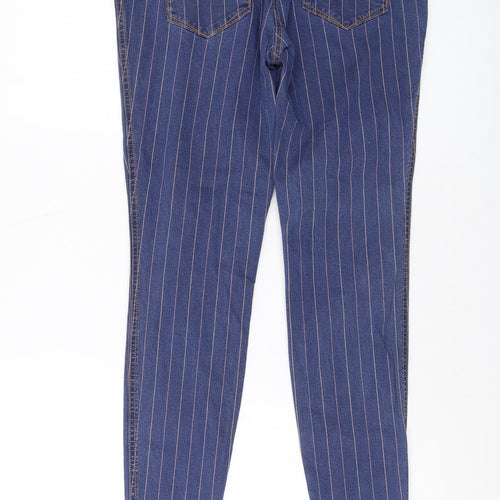 Tulchan Womens Blue Striped Cotton Skinny Jeans Size 12 L27 in Regular Button