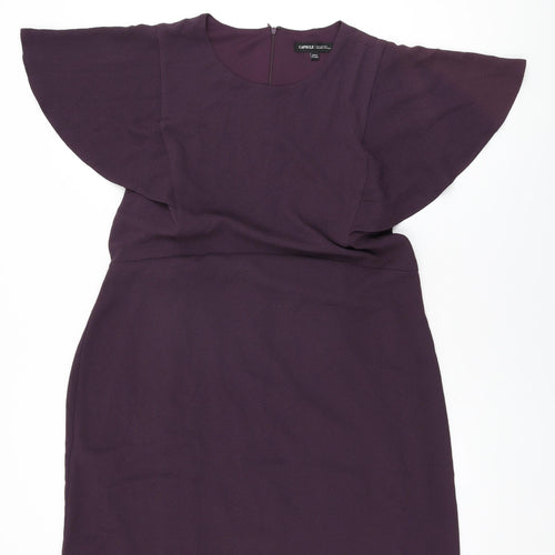 Capsule Womens Purple Polyester Shift Size 18 Round Neck Zip